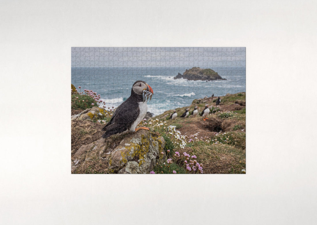 Puffin with a Beak Full of Fish jigsaw puzzle - gift box