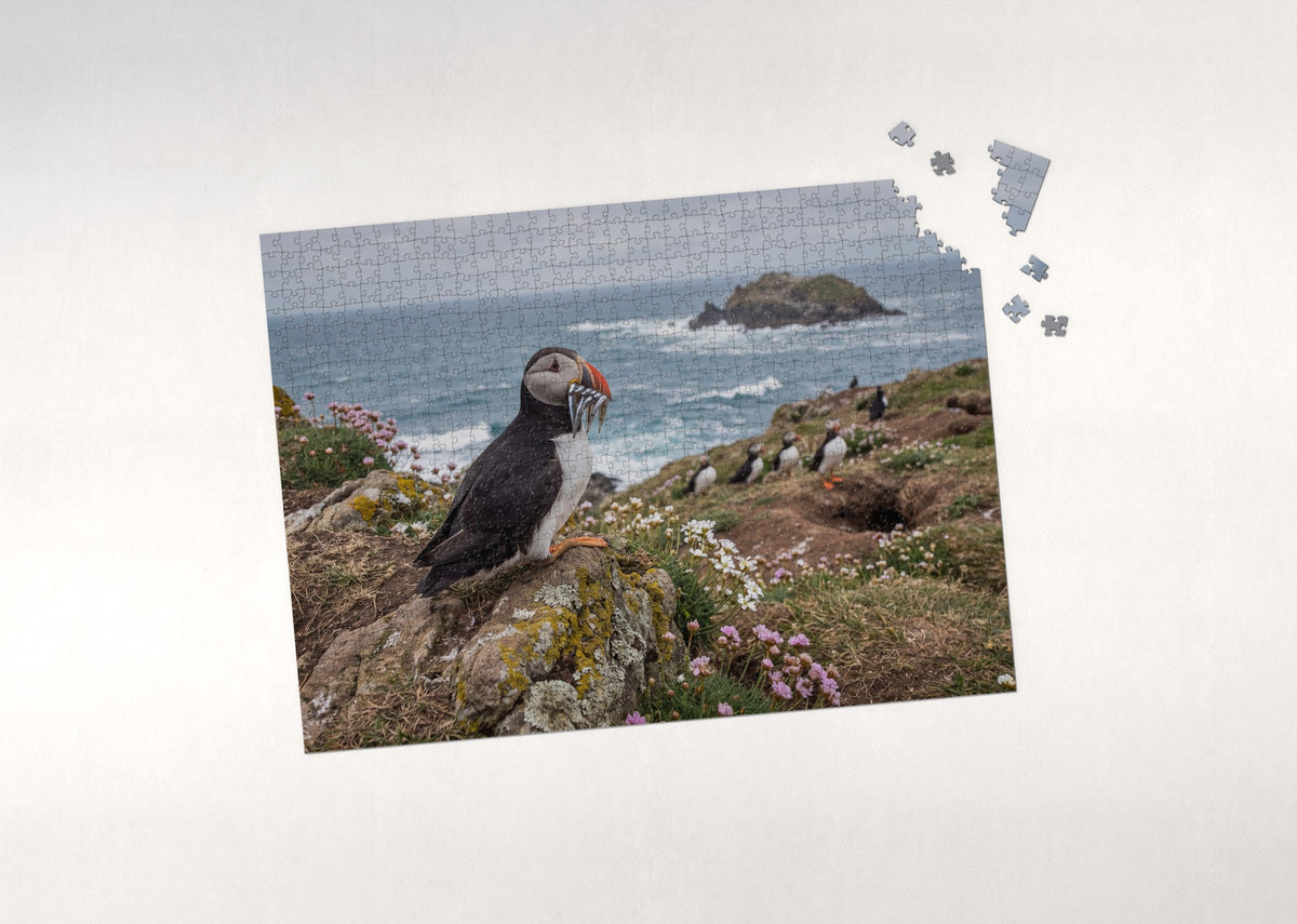 Puffin with a Beak Full of Fish jigsaw puzzle - puzzle with loose pieces