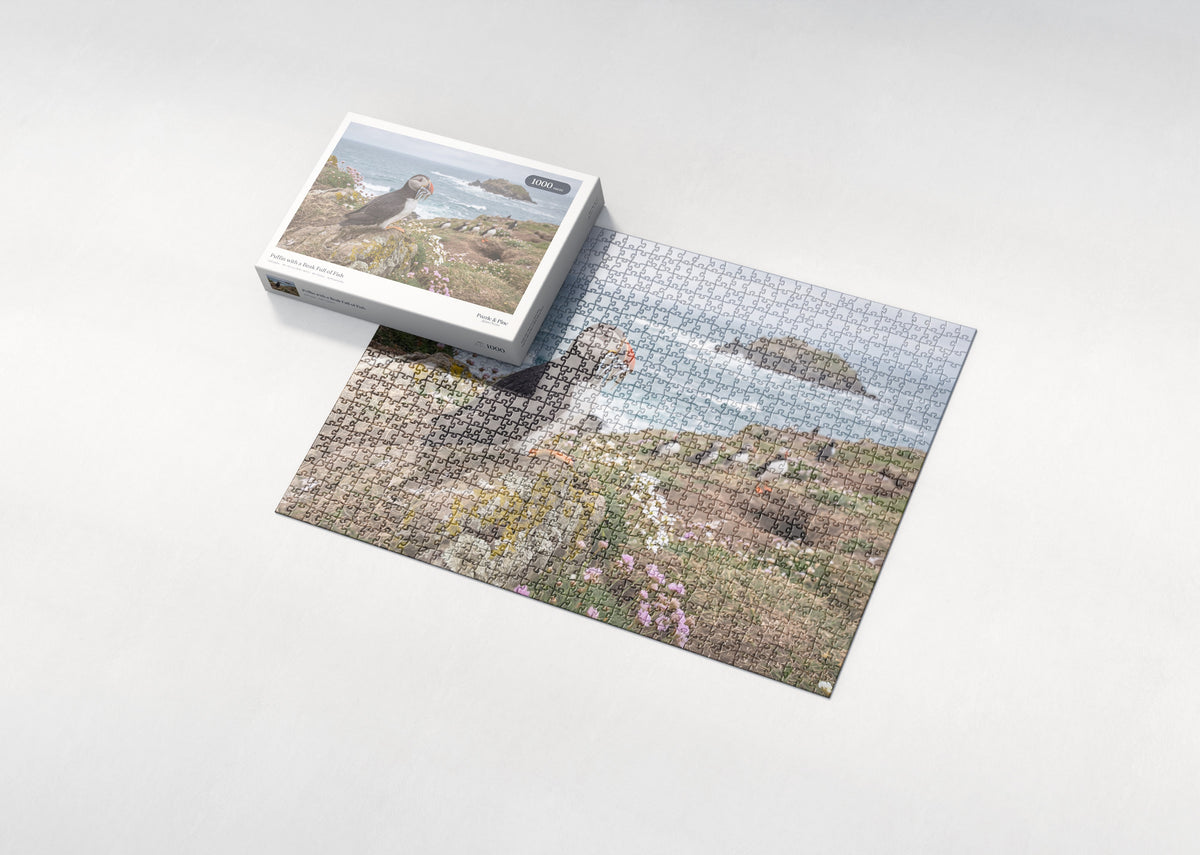 Puffin with a Beak Full of Fish jigsaw puzzle - box and puzzle