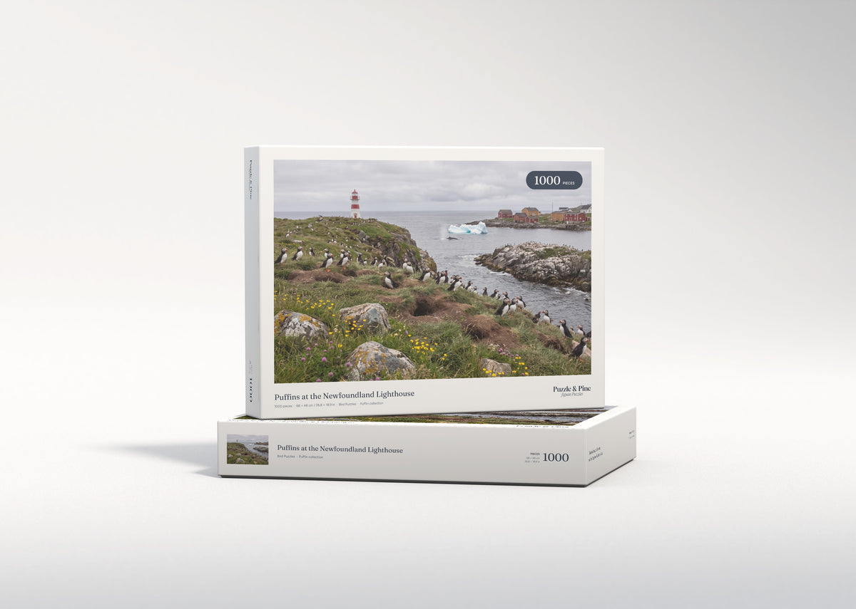 Puffins at the Newfoundland Lighthouse jigsaw puzzle - gift box