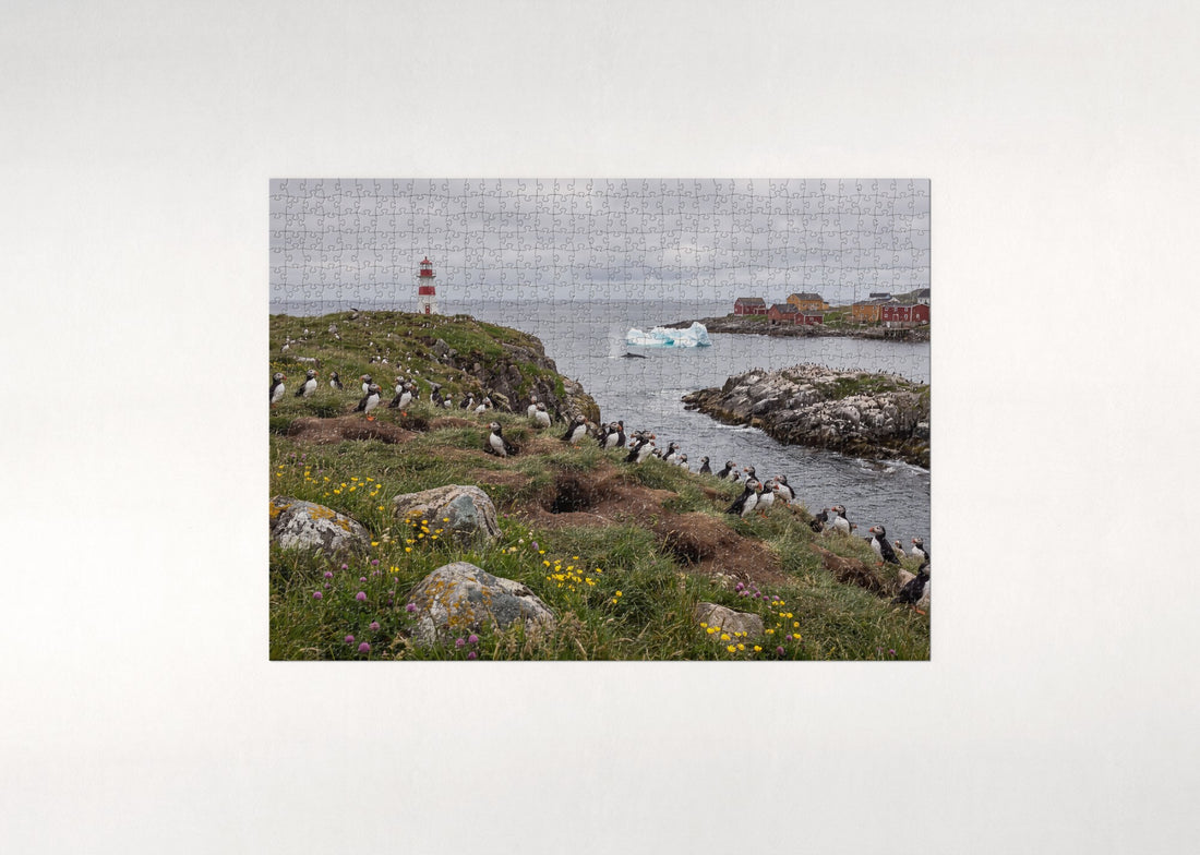 Puffins at the Newfoundland Lighthouse jigsaw puzzle - gift box