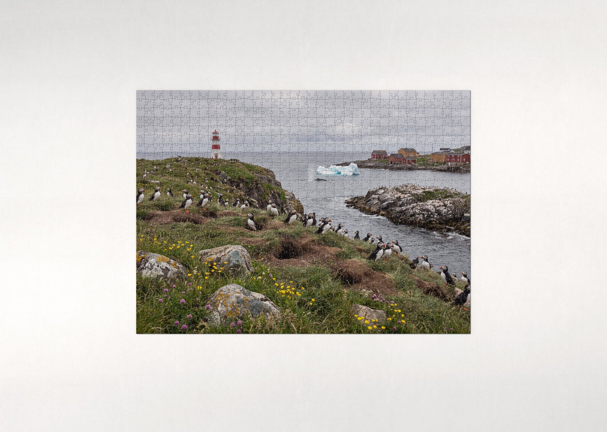 Puffins at the Newfoundland Lighthouse jigsaw puzzle - flat puzzle