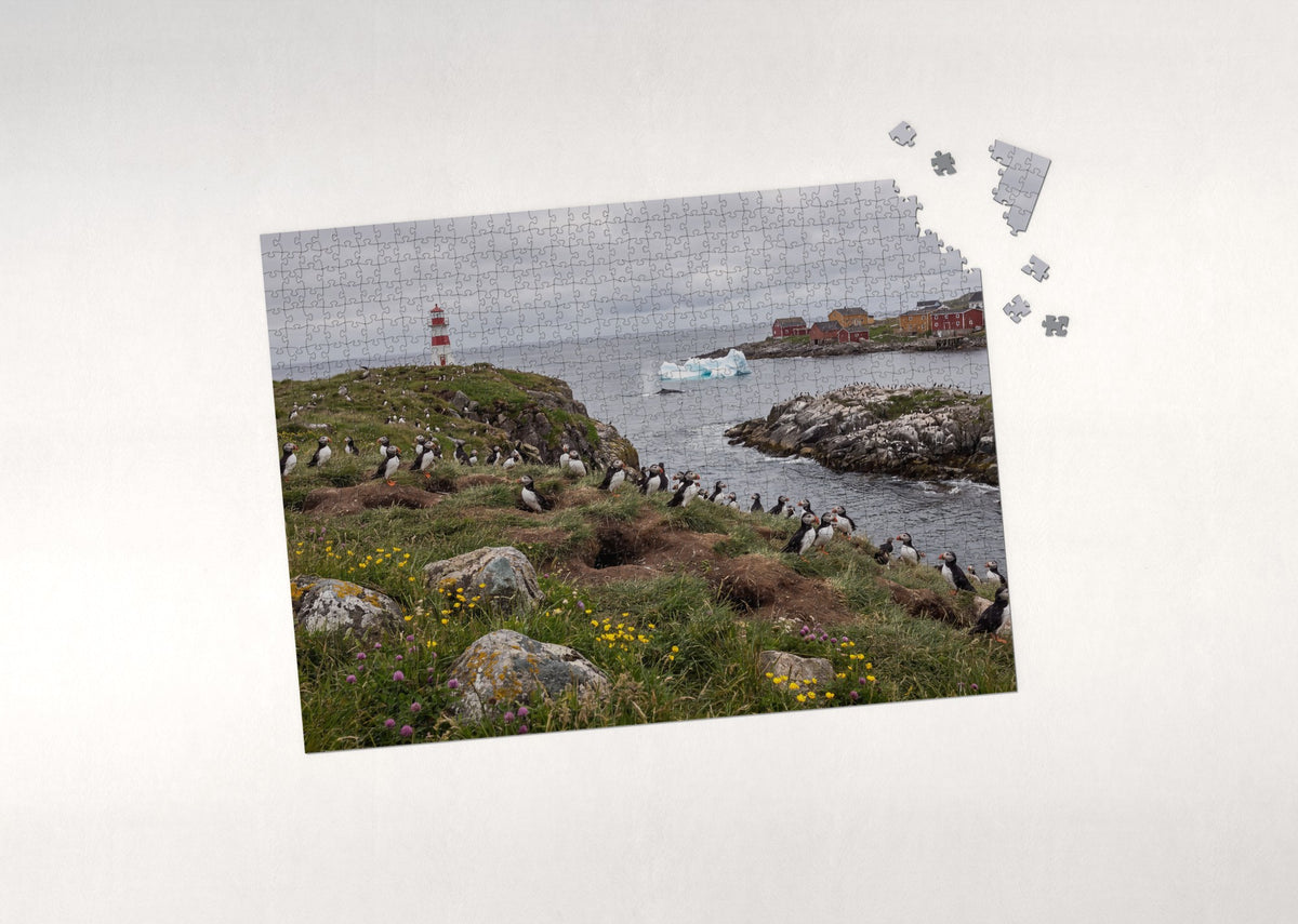 Puffins at the Newfoundland Lighthouse jigsaw puzzle - puzzle with loose pieces