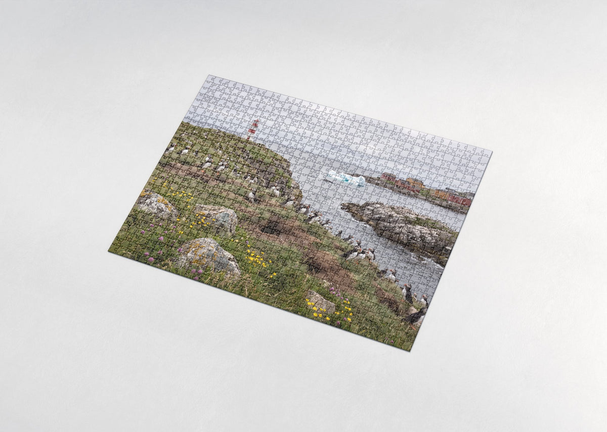 Puffins at the Newfoundland Lighthouse jigsaw puzzle - assembled puzzle