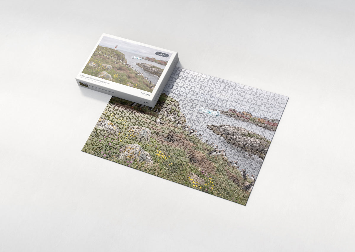 Puffins at the Newfoundland Lighthouse jigsaw puzzle - box and puzzle