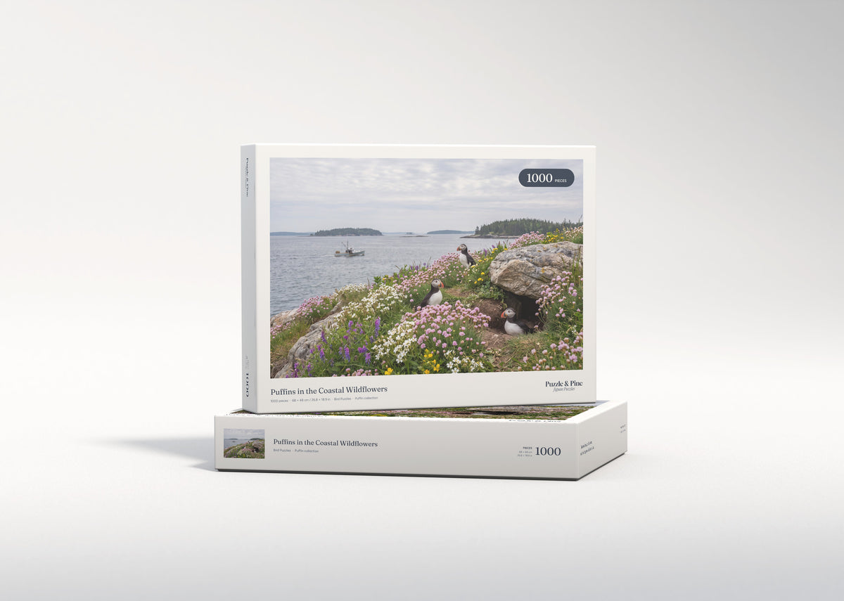Puffins in the Coastal Wildflowers jigsaw puzzle - gift box
