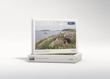 Puffins in the Coastal Wildflowers jigsaw puzzle - gift box
