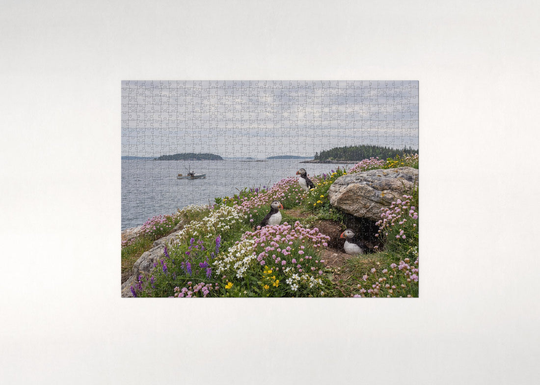 Puffins in the Coastal Wildflowers jigsaw puzzle - gift box