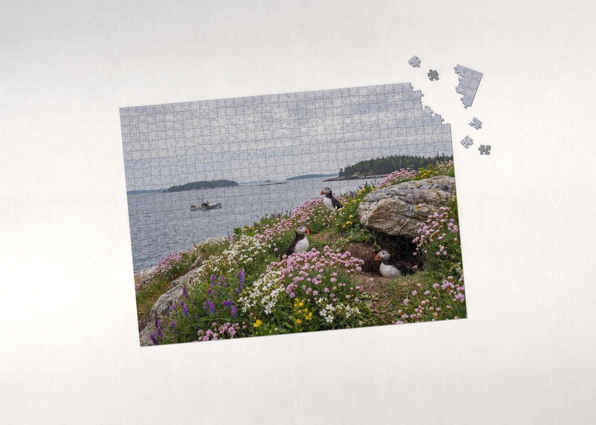 Puffins in the Coastal Wildflowers jigsaw puzzle - puzzle with loose pieces