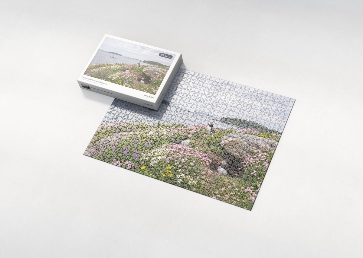 Puffins in the Coastal Wildflowers jigsaw puzzle - box and puzzle
