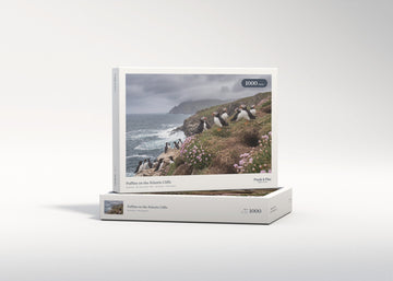 Puffins on the Atlantic Cliffs jigsaw puzzle - gift box