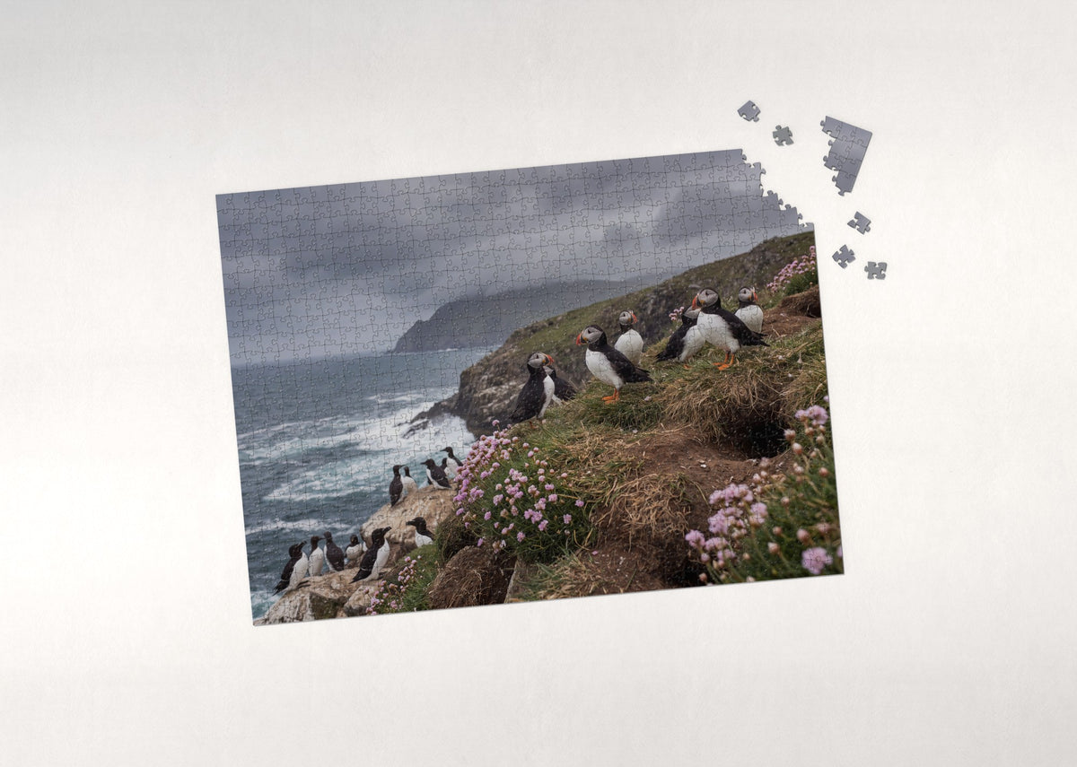 Puffins on the Atlantic Cliffs jigsaw puzzle - puzzle with loose pieces