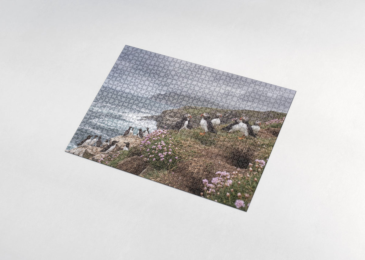 Puffins on the Atlantic Cliffs jigsaw puzzle - assembled puzzle