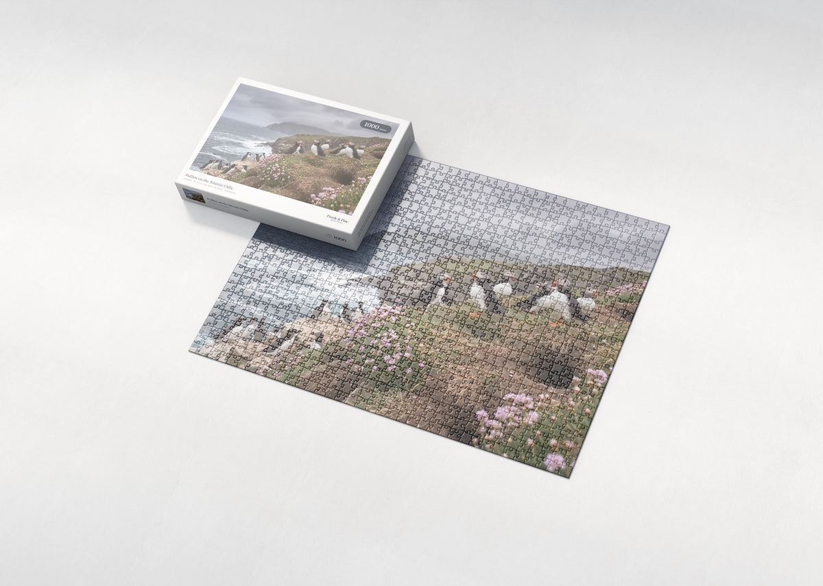 Puffins on the Atlantic Cliffs jigsaw puzzle - box and puzzle