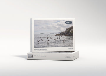 Puffins Over the Summer Sea jigsaw puzzle - gift box