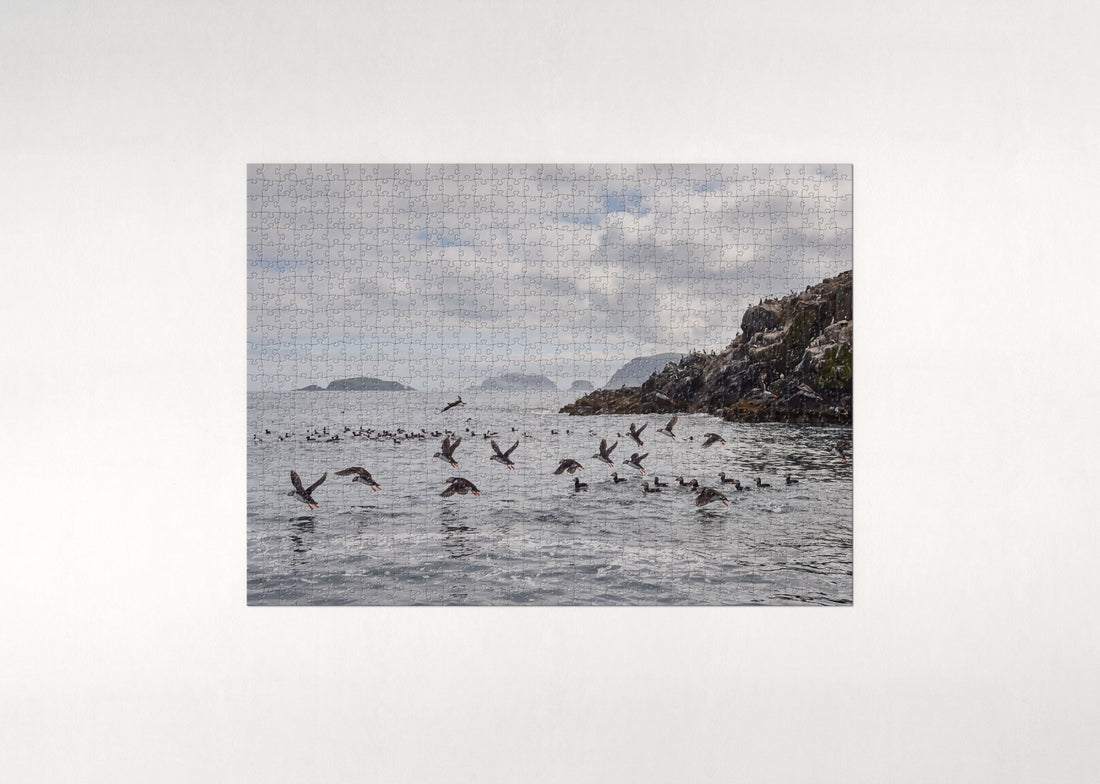 Puffins Over the Summer Sea jigsaw puzzle - gift box