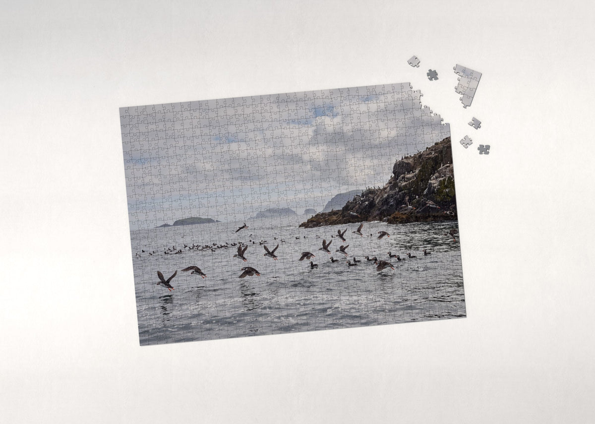 Puffins Over the Summer Sea jigsaw puzzle - puzzle with loose pieces