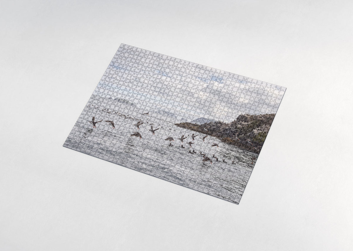 Puffins Over the Summer Sea jigsaw puzzle - assembled puzzle