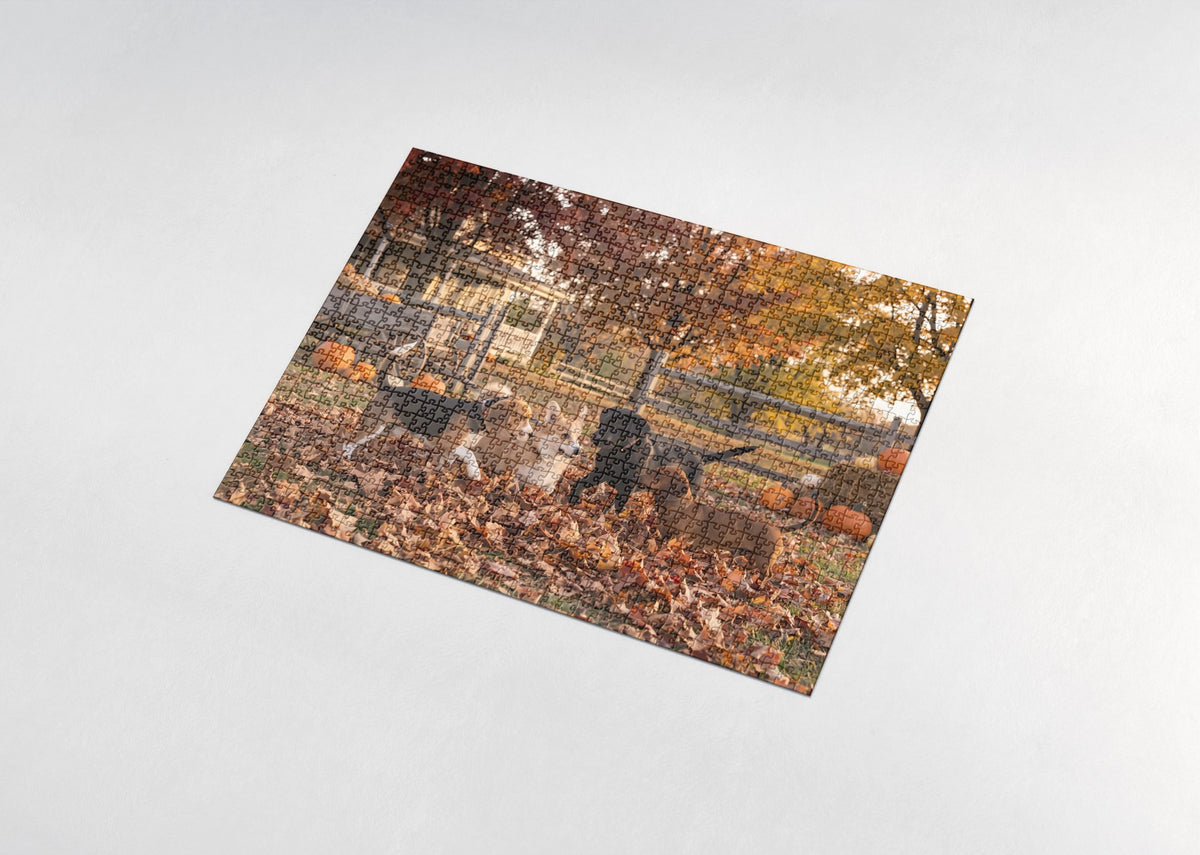 Puppies Playing in the Autumn Leaves jigsaw puzzle - assembled puzzle