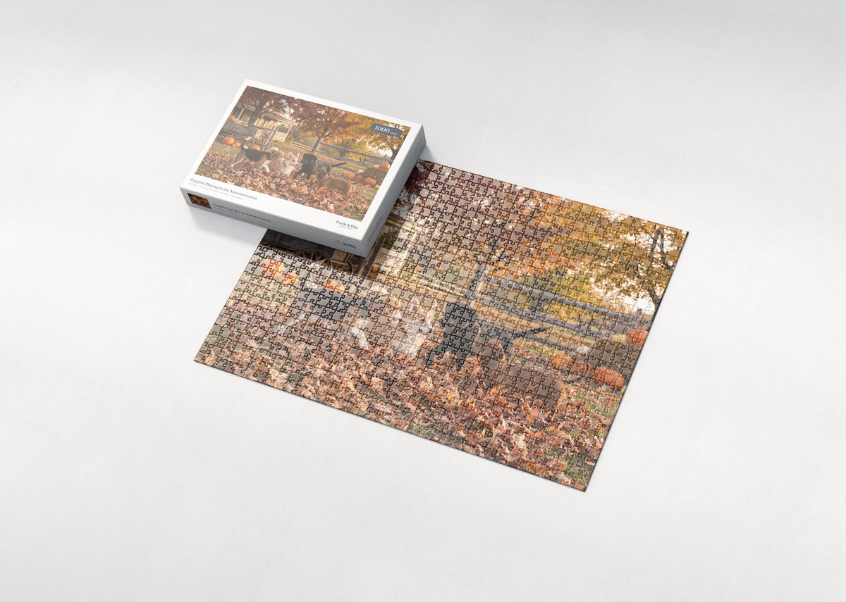 Puppies Playing in the Autumn Leaves jigsaw puzzle - box and puzzle