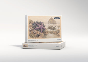 Purple Sea Star at Low Tide jigsaw puzzle - gift box