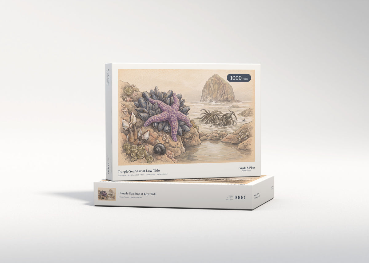 Purple Sea Star at Low Tide jigsaw puzzle - gift box