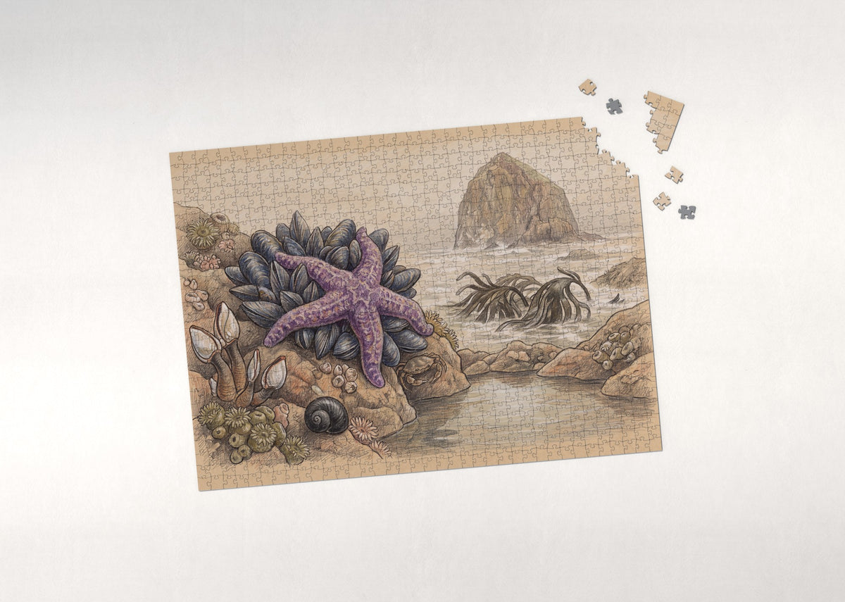 Purple Sea Star at Low Tide jigsaw puzzle - puzzle with loose pieces