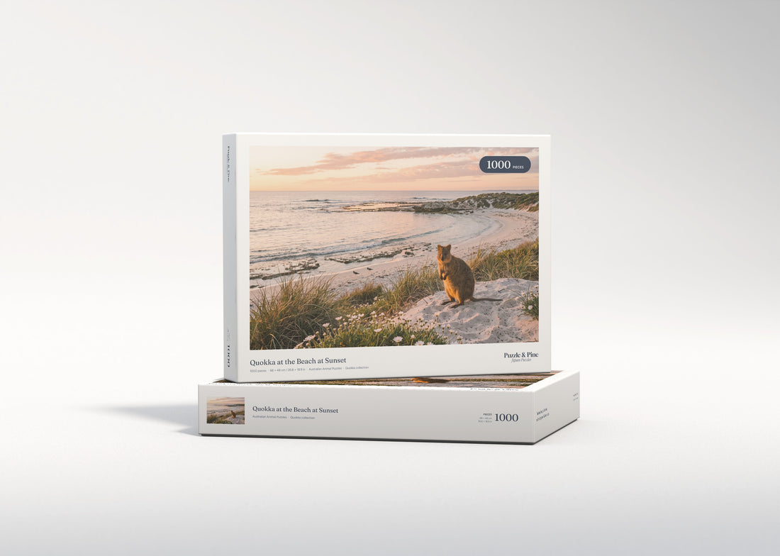 Quokka at the Beach at Sunset jigsaw puzzle - gift box