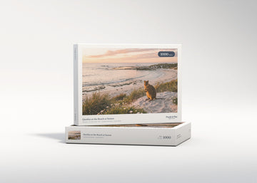 Quokka at the Beach at Sunset jigsaw puzzle - gift box