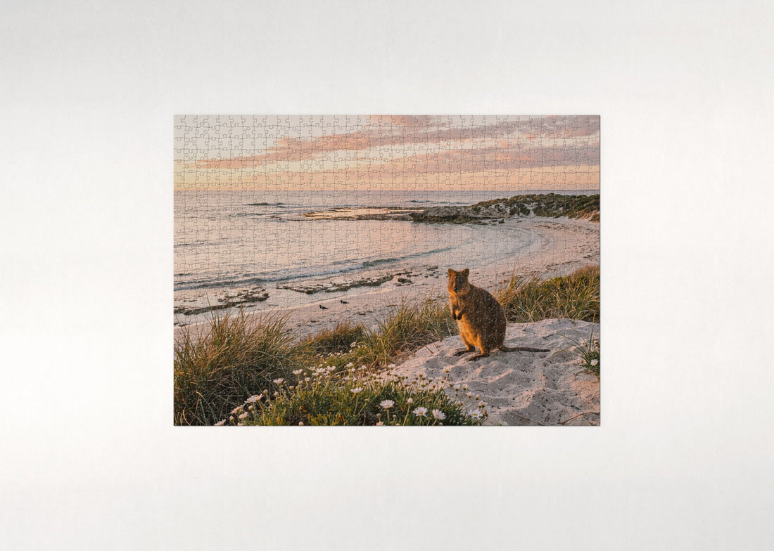 Quokka at the Beach at Sunset jigsaw puzzle - gift box