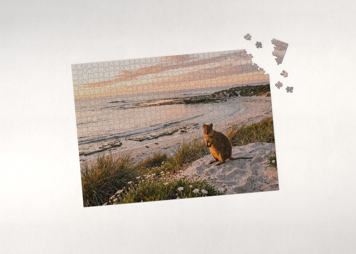 Quokka at the Beach at Sunset jigsaw puzzle - puzzle with loose pieces