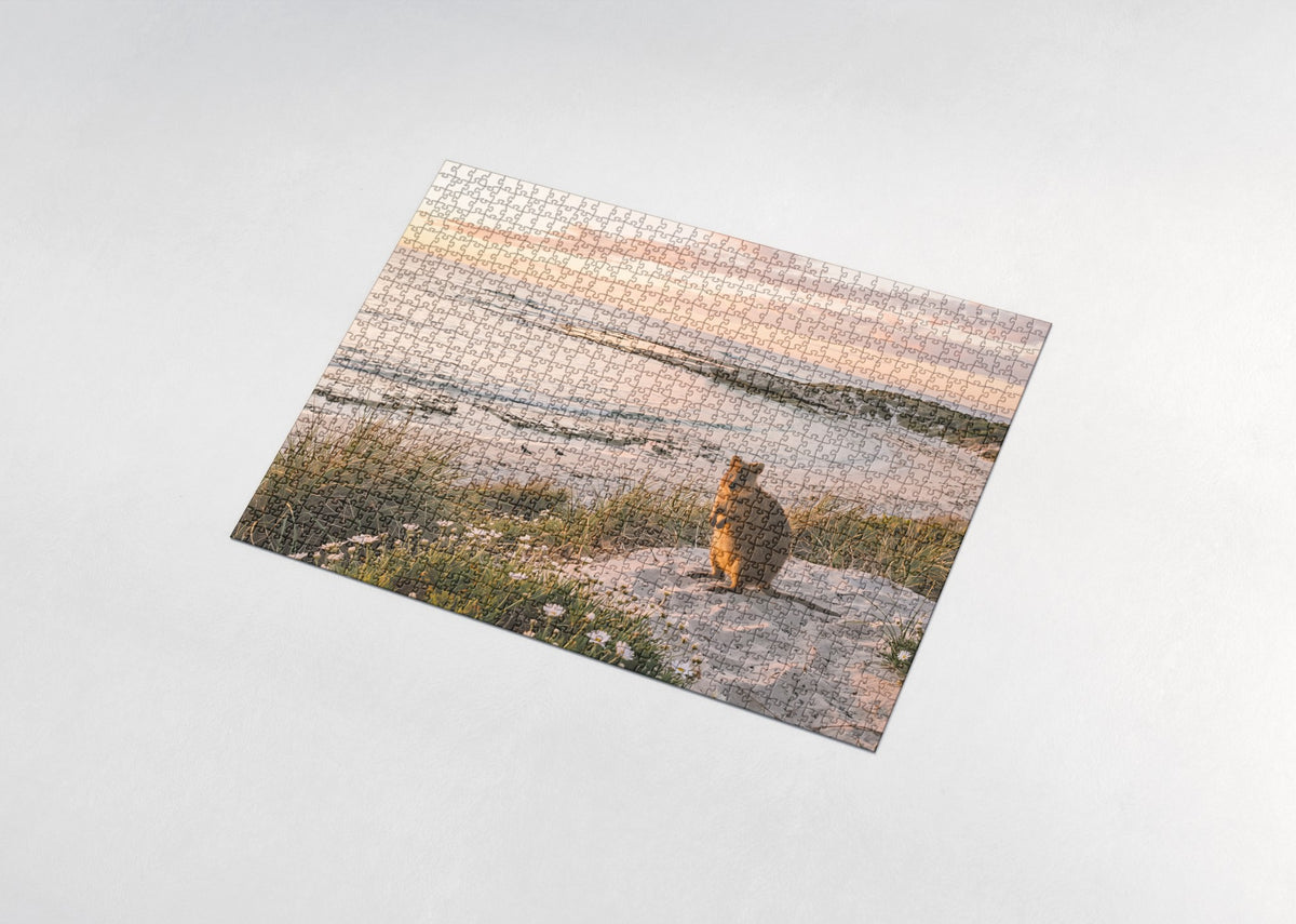 Quokka at the Beach at Sunset jigsaw puzzle - assembled puzzle