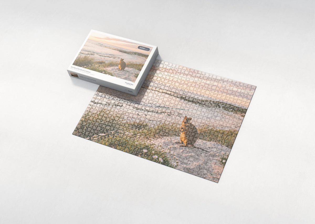 Quokka at the Beach at Sunset jigsaw puzzle - box and puzzle