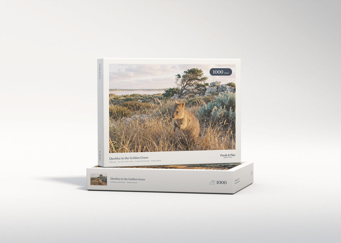 Quokka in the Golden Grass jigsaw puzzle - gift box