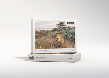 Quokka in the Golden Grass jigsaw puzzle - gift box
