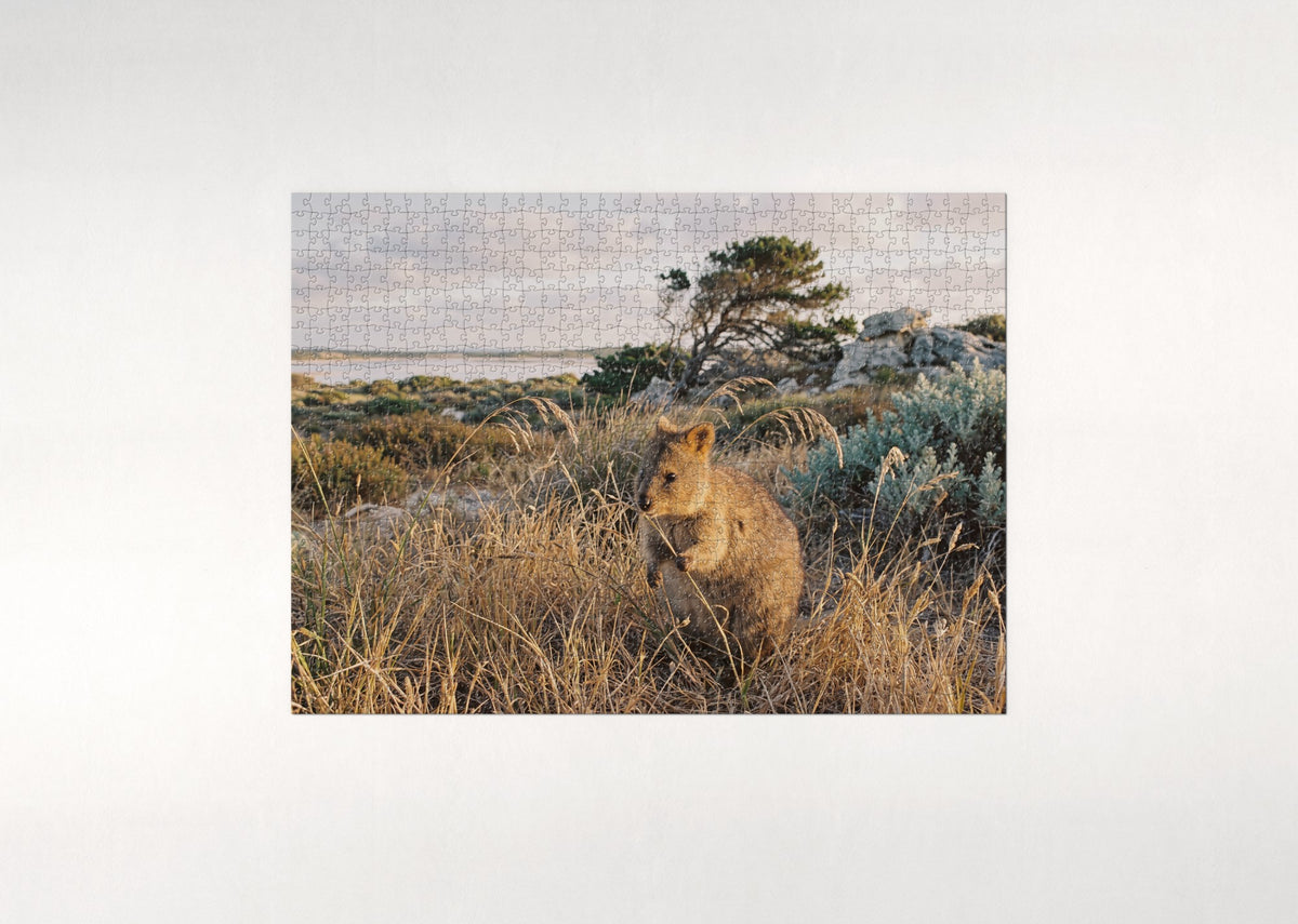 Quokka in the Golden Grass jigsaw puzzle - flat puzzle