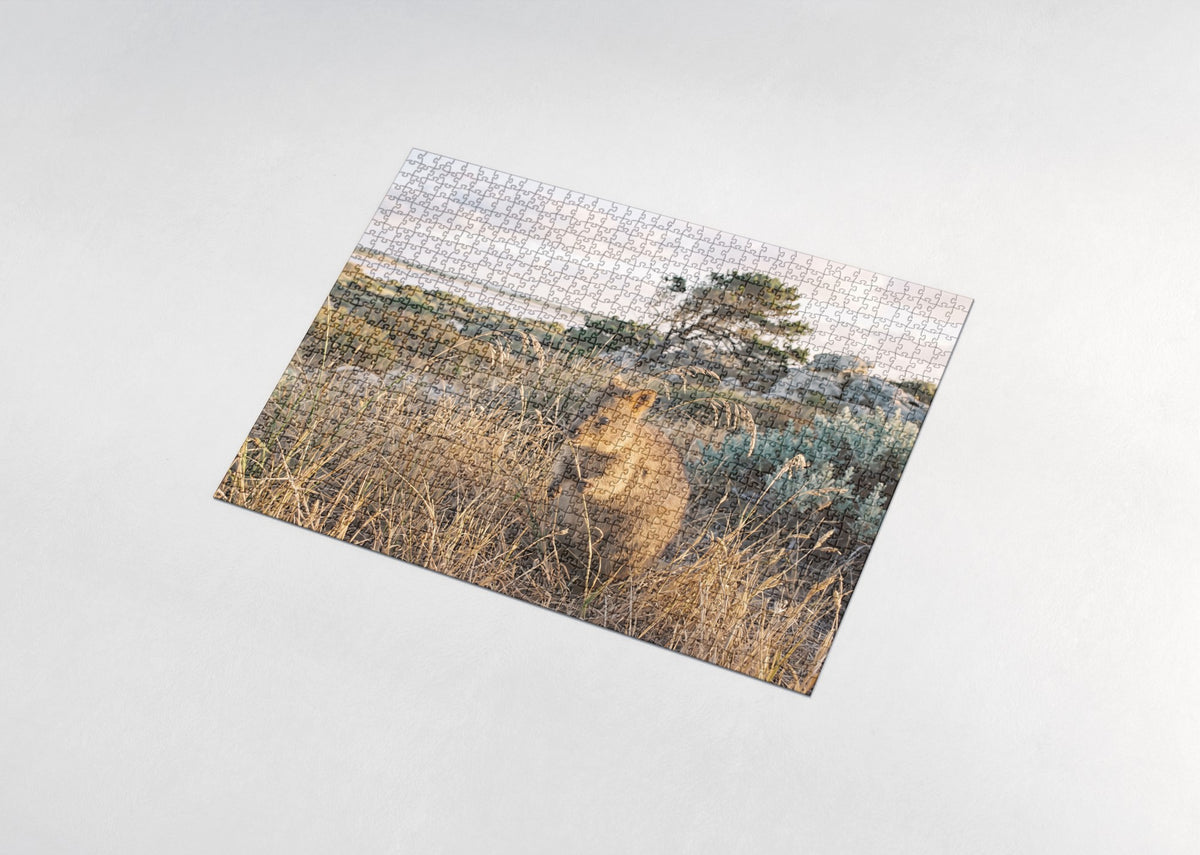 Quokka in the Golden Grass jigsaw puzzle - assembled puzzle