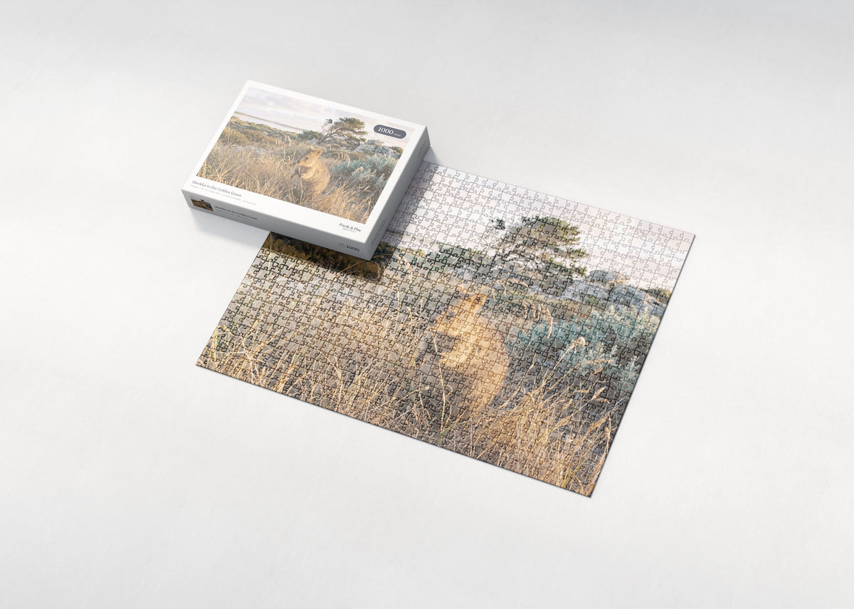 Quokka in the Golden Grass jigsaw puzzle - box and puzzle