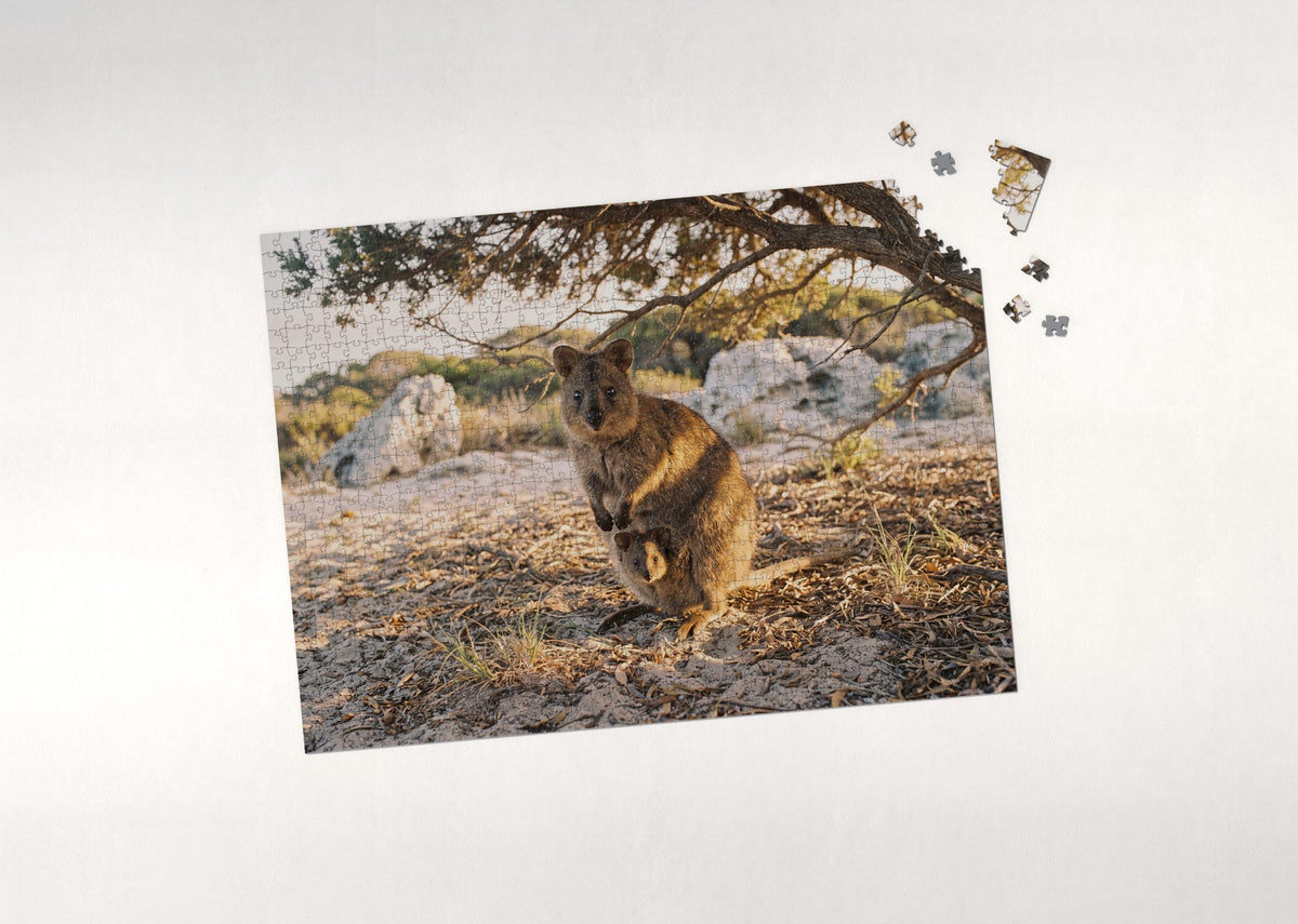Quokka Mother and Joey jigsaw puzzle - puzzle with loose pieces