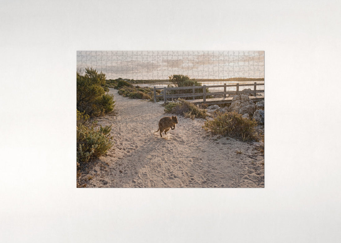 Quokka on the Sandy Path jigsaw puzzle - gift box