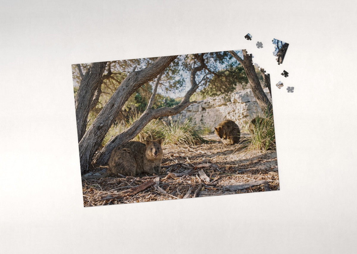 Quokka Under the Tea Trees jigsaw puzzle - puzzle with loose pieces