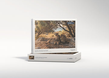 Quokkas Resting in the Shade jigsaw puzzle - gift box