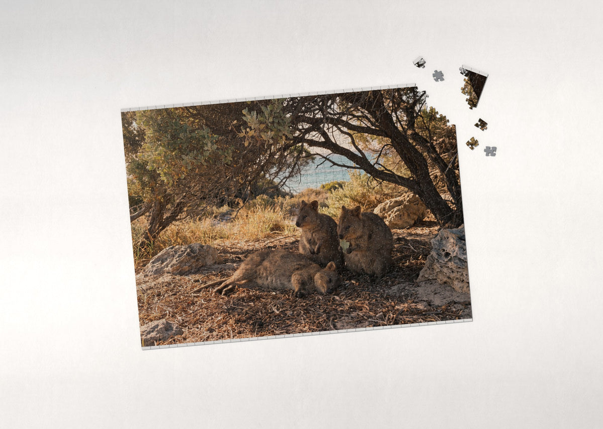 Quokkas Resting in the Shade jigsaw puzzle - puzzle with loose pieces