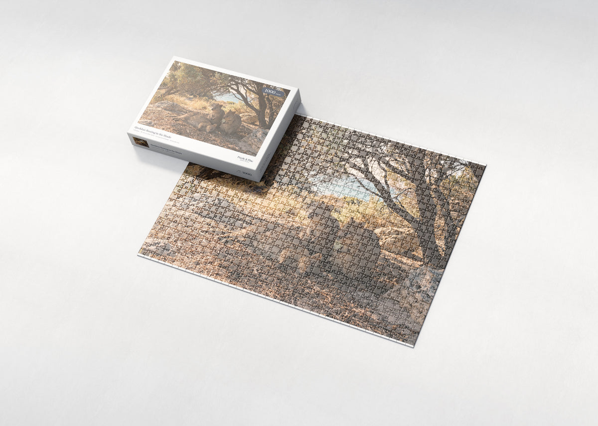 Quokkas Resting in the Shade jigsaw puzzle - box and puzzle