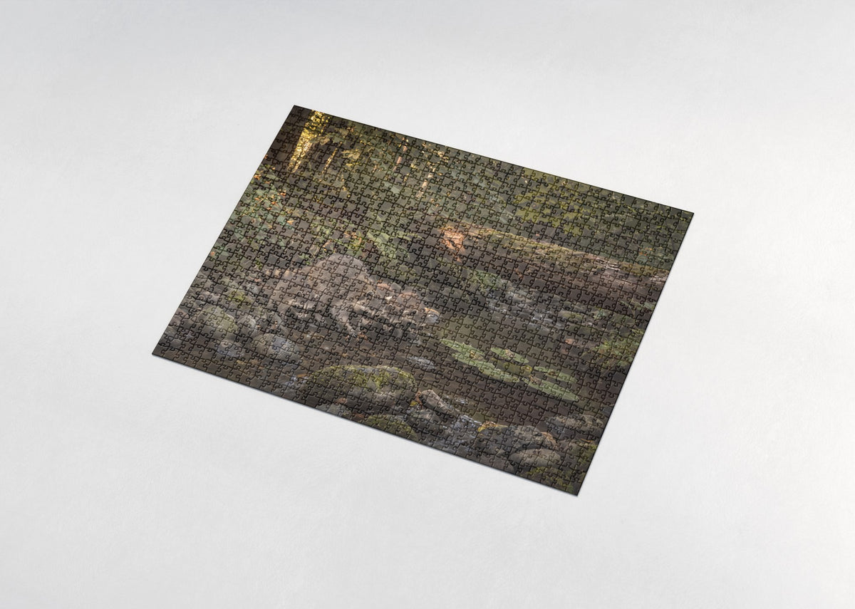 Raccoon Family at the Creek jigsaw puzzle - assembled puzzle