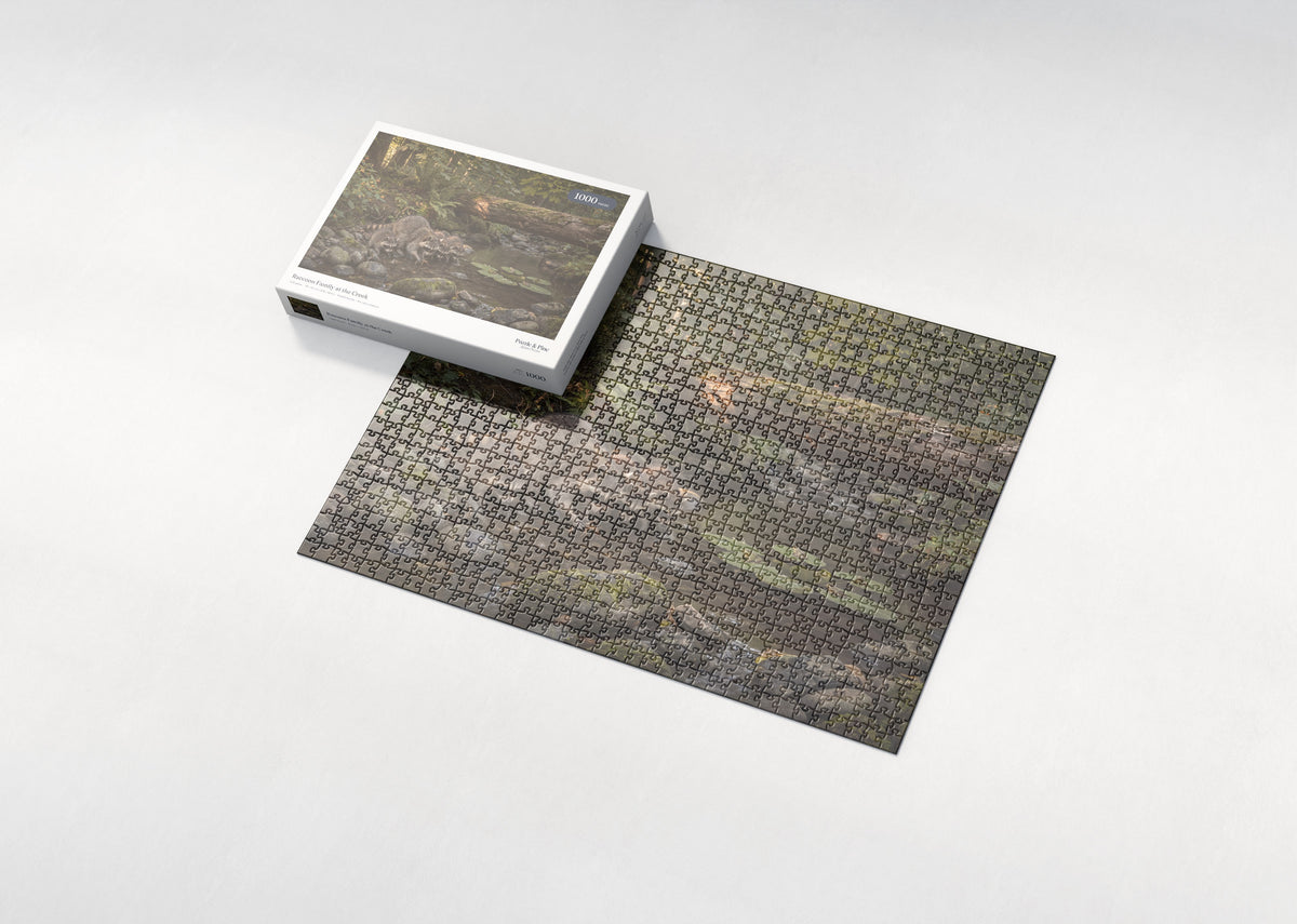 Raccoon Family at the Creek jigsaw puzzle - box and puzzle
