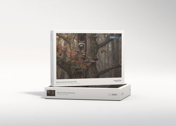 Raccoon in the Autumn Oak jigsaw puzzle - gift box