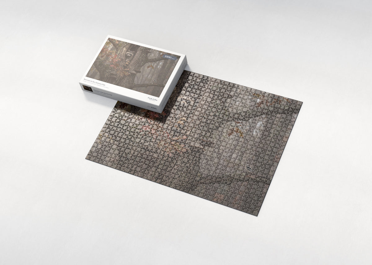 Raccoon in the Autumn Oak jigsaw puzzle - box and puzzle
