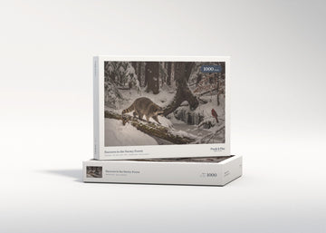 Raccoon in the Snowy Forest jigsaw puzzle - gift box