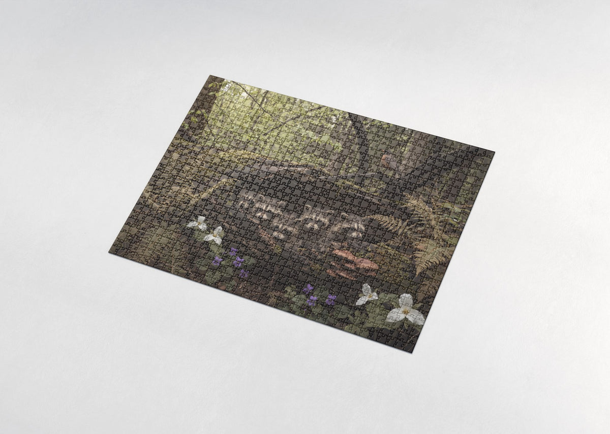 Raccoon Kits in the Hollow Log jigsaw puzzle - assembled puzzle